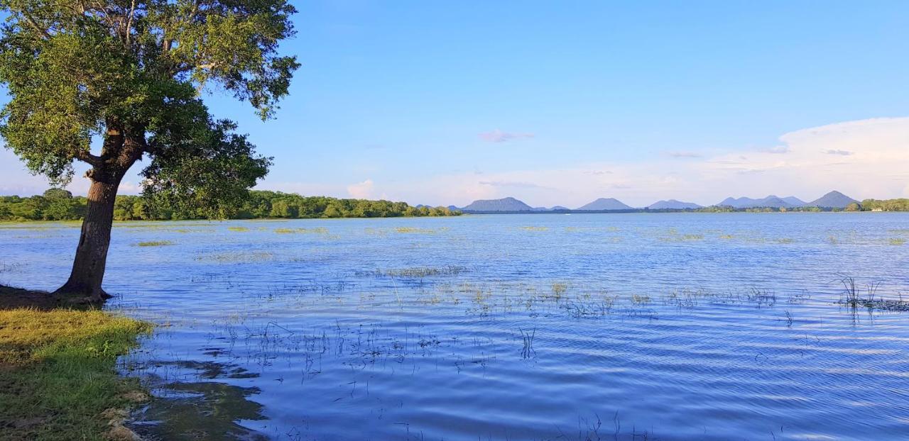 Flower Garden Lake Resort Tissamaharama Bagian luar foto