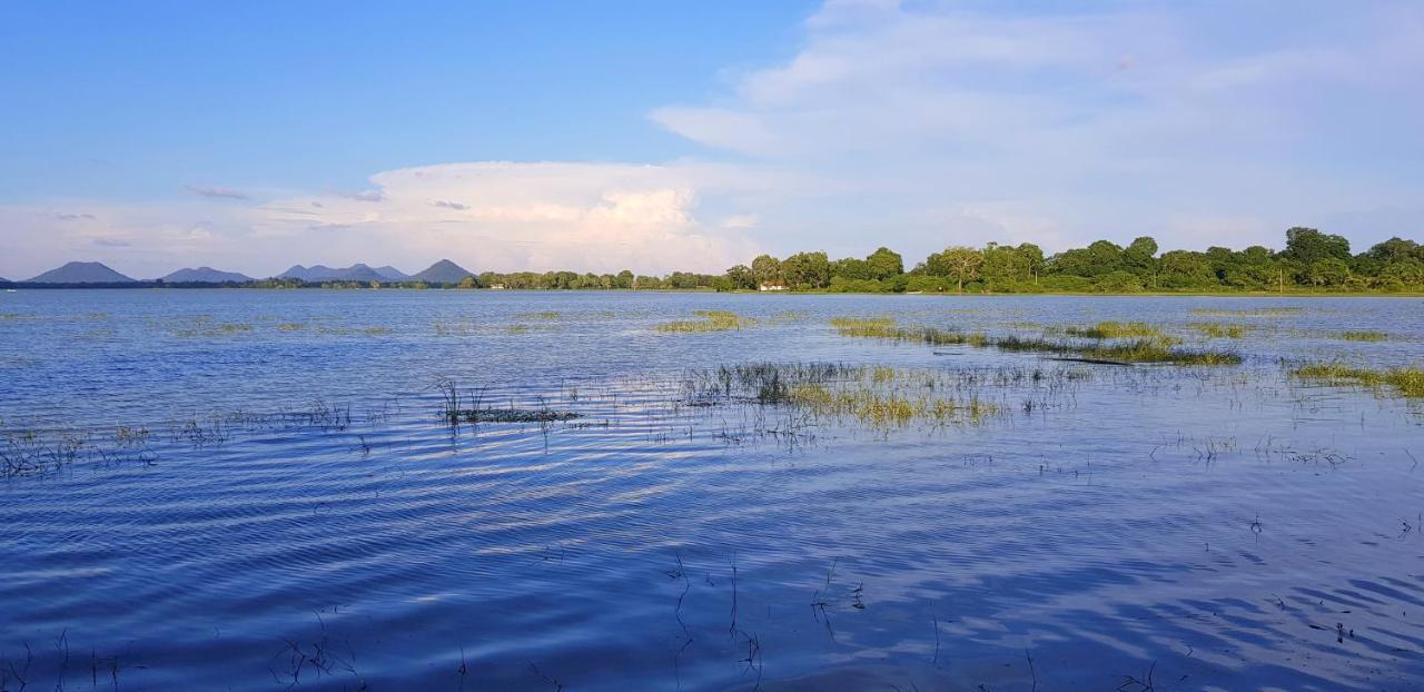 Flower Garden Lake Resort Tissamaharama Bagian luar foto